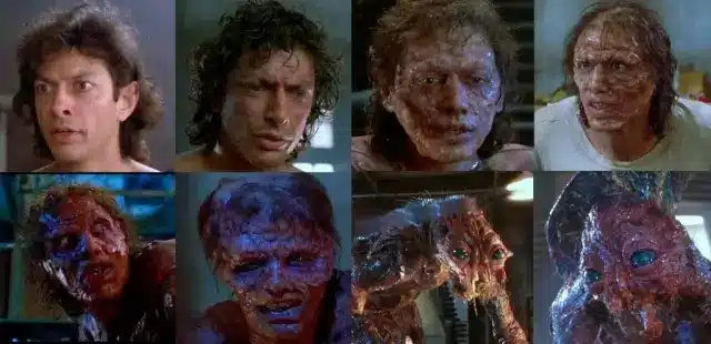 Resenha a Mosca The Fly