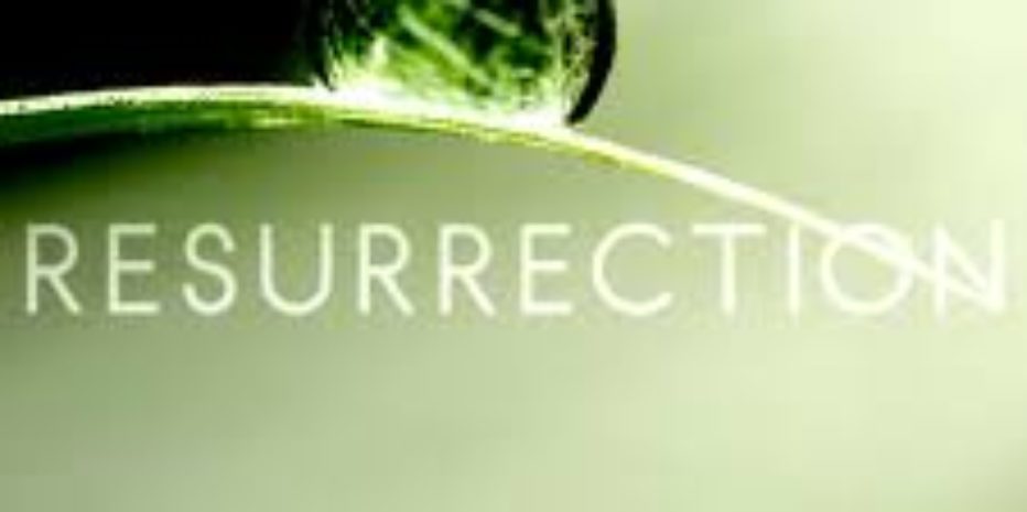 Resenha: Ressurreição (Resurrection) – Primeira Temporada