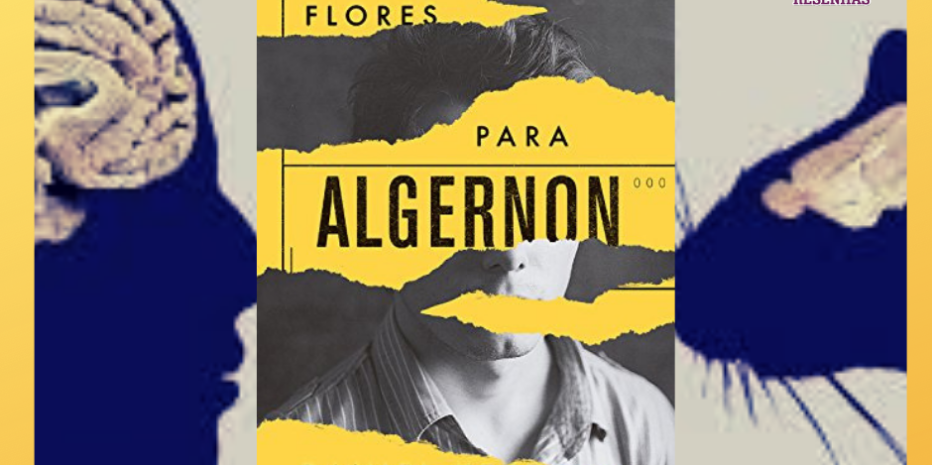 Flores para Algernon: Quanto vale a inteligência?